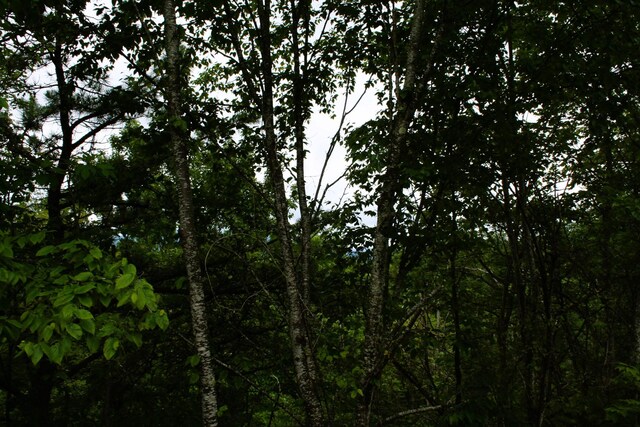 LOT90 Summit Dr, Monterey, VA 24465