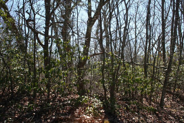 LOT90 Summit Dr, Monterey, VA 24465