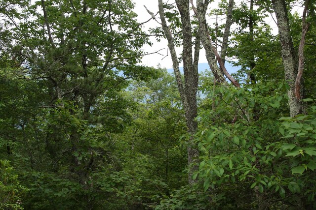 LOT90 Summit Dr, Monterey, VA 24465