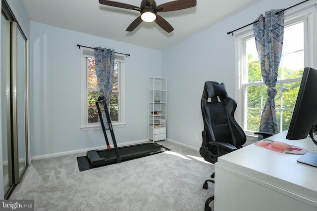 769 Cherry Tree Ln, Warrenton, VA 20186 - carpeted office space featuring plenty of natural light and ceiling fan