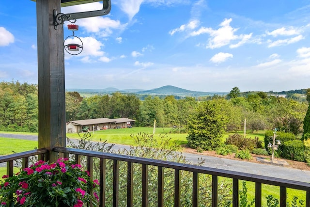 945 Neese Ln, New Market, VA 22844 - mountain view