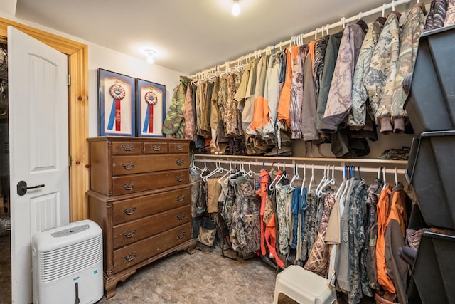 945 Neese Ln, New Market, VA 22844 - view of spacious closet