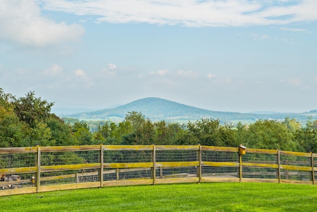 945 Neese Ln, New Market, VA 22844 - view of mountain feature