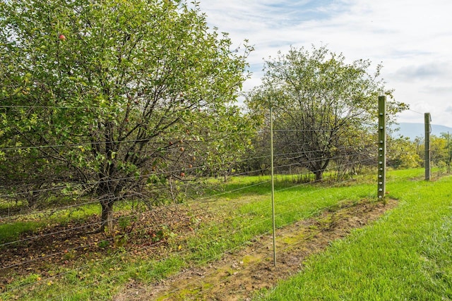 945 Neese Ln, New Market, VA 22844 - view of yard