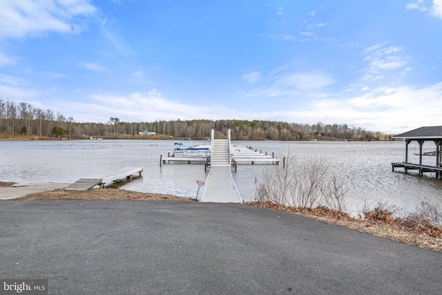 dock area featuring a water view