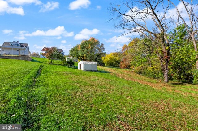 view of yard featuring a storage unit and an outbuilding