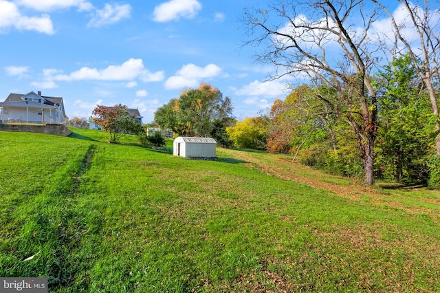 view of yard featuring a shed and an outdoor structure