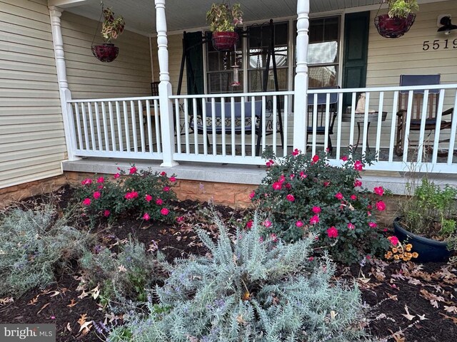 5519 Bazzanella Dr, Mineral, VA 23117 - doorway to property featuring a porch