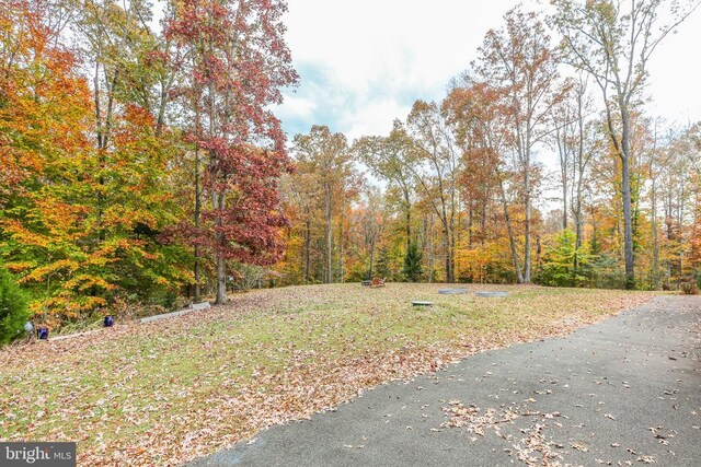 5519 Bazzanella Dr, Mineral, VA 23117 - view of green lawn with a wooded view