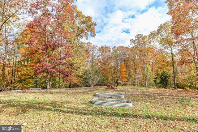 5519 Bazzanella Dr, Mineral, VA 23117 - view of grassy yard featuring a view of trees