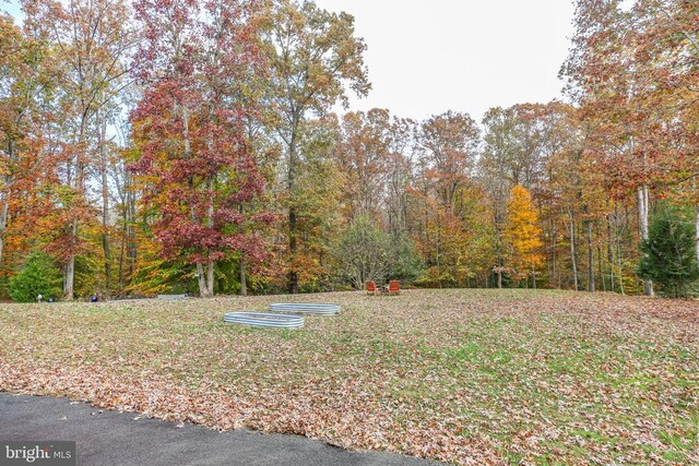 5519 Bazzanella Dr, Mineral, VA 23117 - view of yard