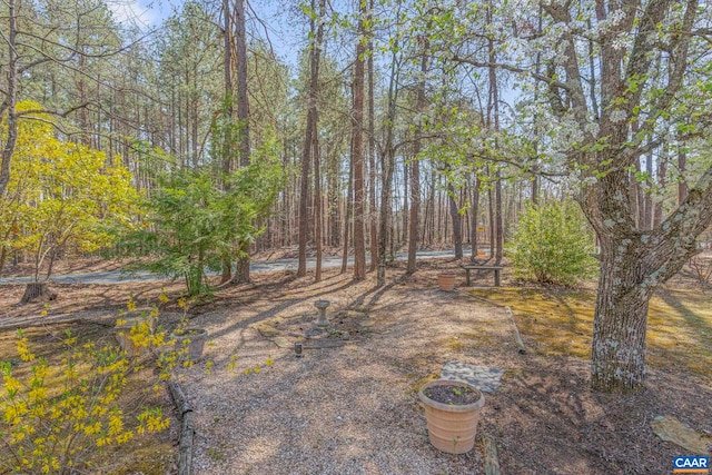 4267 Buck Island Rd, Charlottesville, VA 22902 - view of yard