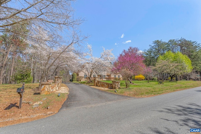 4267 Buck Island Rd, Charlottesville, VA 22902 - view of asphalt driveway