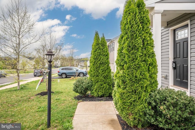 view of grassy yard