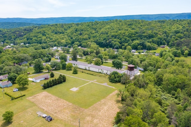 TBD Stillwater Village St, Craigsville, VA 24430