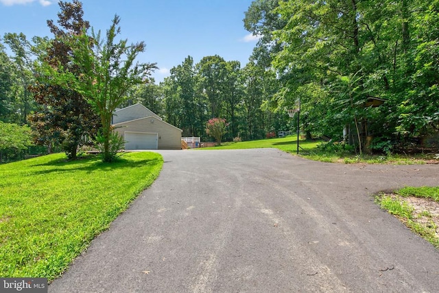 124 Fawn Hills Dr, Fredericksburg, VA 22407 - photo 5