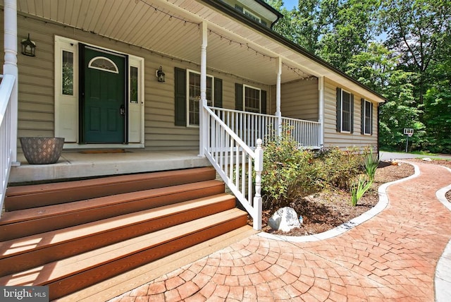 124 Fawn Hills Dr, Fredericksburg, VA 22407 - photo 6
