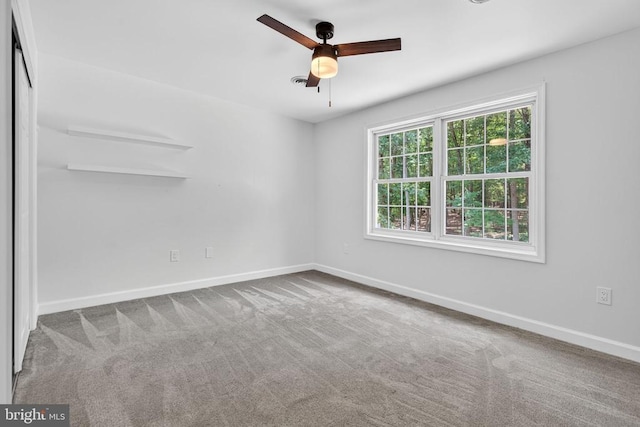 124 Fawn Hills Dr, Fredericksburg, VA 22407 - photo 41