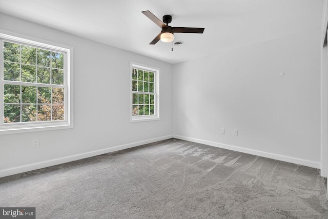 124 Fawn Hills Dr, Fredericksburg, VA 22407 - photo 39