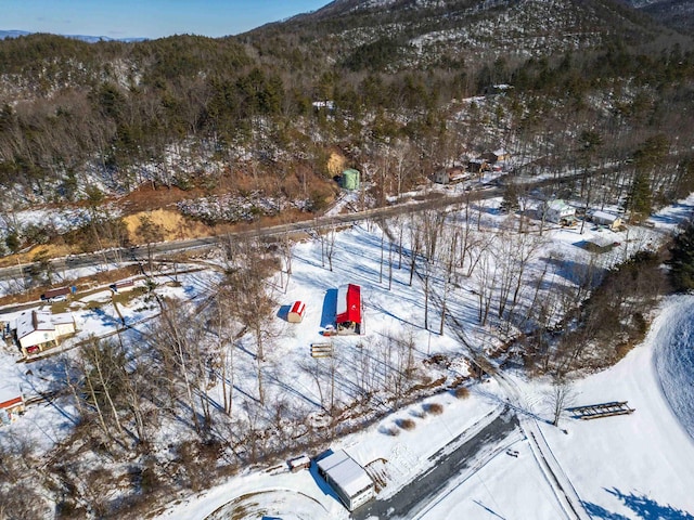 46 Victory Ln, Brandywine, WV 26802