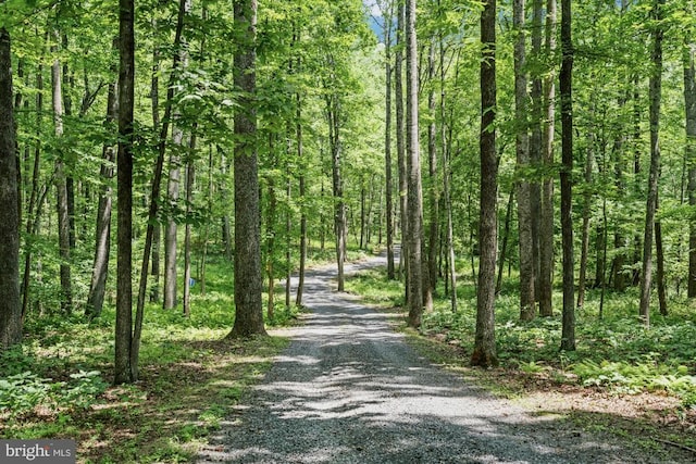 8833 Wales Rd N, Warrenton, VA 20186 - view of road with a forest view