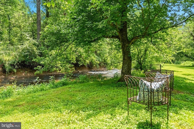 8833 Wales Rd N, Warrenton, VA 20186 - view of yard