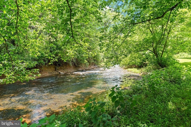 8833 Wales Rd N, Warrenton, VA 20186 - water view featuring a forest