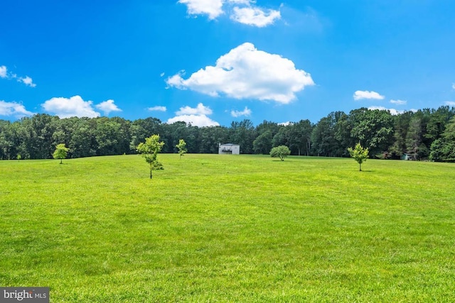 8833 Wales Rd N, Warrenton, VA 20186 - view of community with a lawn, a forest view, and a rural view