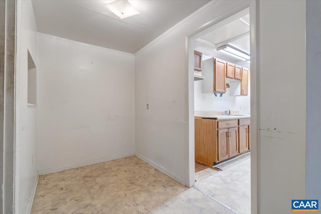 2420 James River Rd, Esmont, VA 22937 - hall with light floors, baseboards, ornamental molding, and a sink