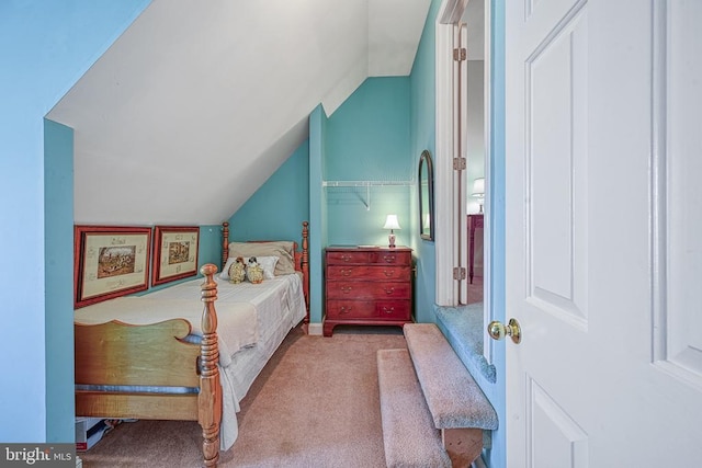 175 Covenant Way, Bumpass, VA 23024 - bedroom with lofted ceiling and carpet flooring
