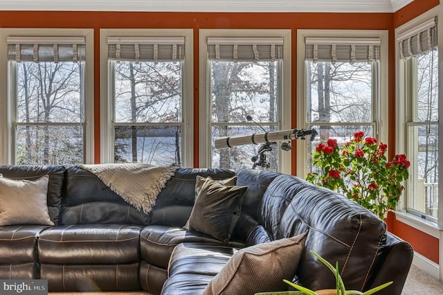 175 Covenant Way, Bumpass, VA 23024 - sunroom / solarium featuring ornamental molding