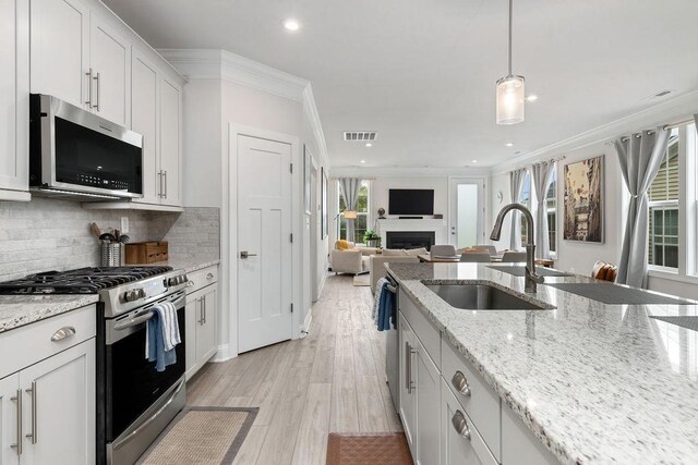 120 Ridgeline Dr, Waynesboro, VA 22980 - kitchen featuring stainless steel appliances, a sink, ornamental molding, a fireplace, and recessed lighting