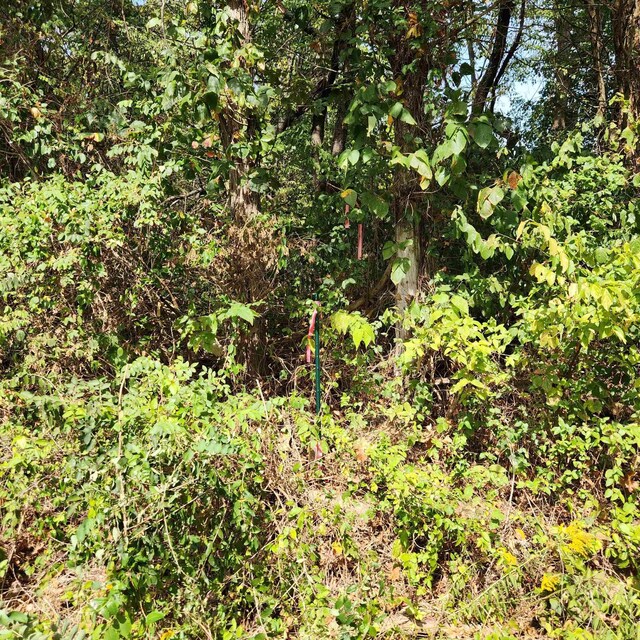 0 Mill Race Rd, Verona, VA 24482 - photo 23