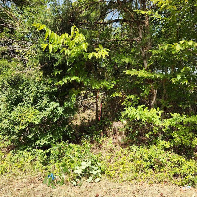 0 Mill Race Rd, Verona, VA 24482 - photo 22