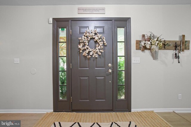 4102 Chris Shan Ct, Fredericksburg, VA 22408 - foyer featuring wood finished floors and baseboards