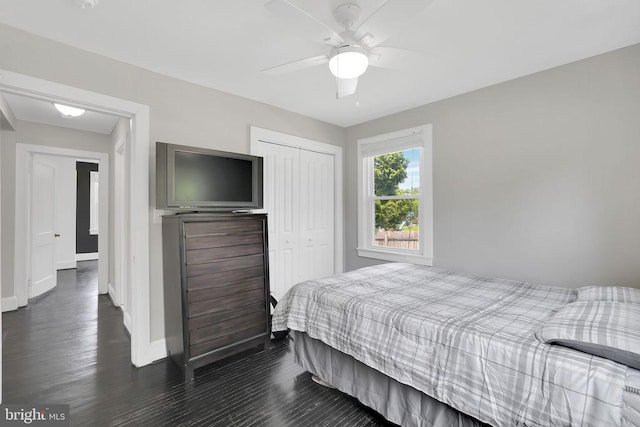 316 Wayland Rd, Culpeper, VA 22701 - bedroom with a closet, dark wood-style floors, and a ceiling fan