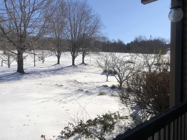 view of yard layered in snow