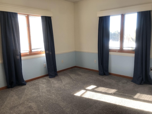 spare room with carpet floors and a wealth of natural light