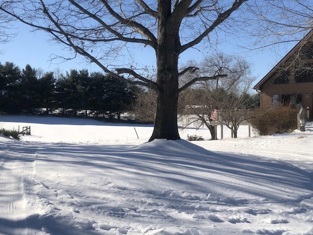 view of yard layered in snow