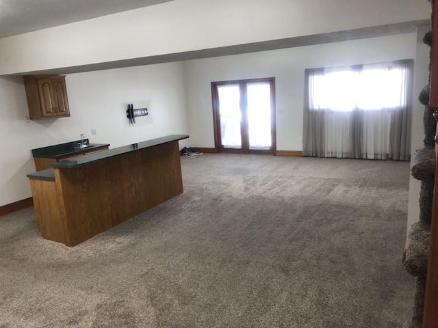 kitchen with carpet flooring