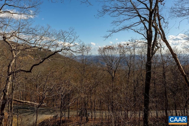 38 Firtree Dr, Wintergreen, VA 22967 - view of mountain feature featuring a view of trees
