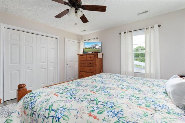 5480 Main St, Mount Jackson, VA 22842 - bedroom with a textured ceiling, multiple closets, and a ceiling fan