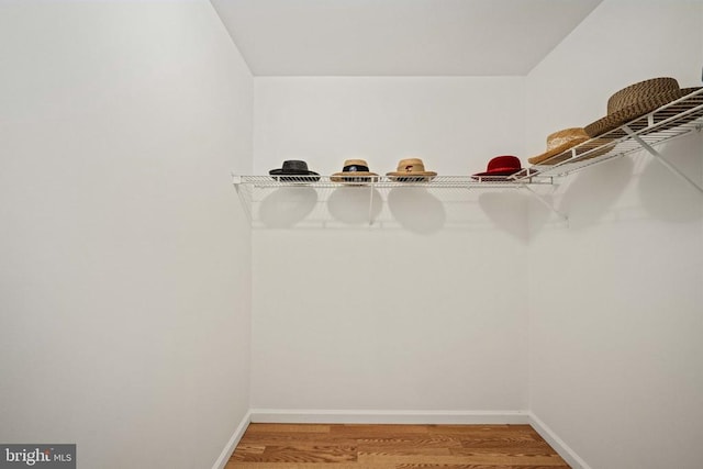  - spacious closet featuring light wood finished floors
