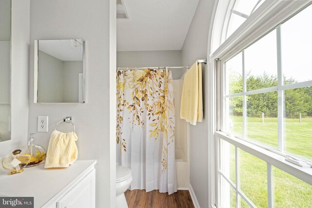  - bathroom featuring plenty of natural light, toilet, wood finished floors, and vanity