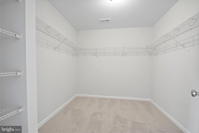 2042 Mourning Dove Dr, Locust Grove, VA 22508 - back of property with entry steps, a yard, and a patio