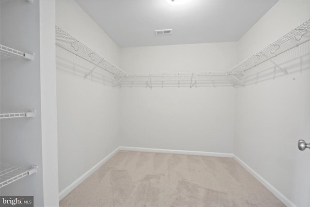 2042 Mourning Dove Dr, Locust Grove, VA 22508 - spacious closet with carpet floors