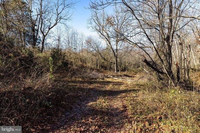 0 Grandos St, Shenandoah, VA 22849