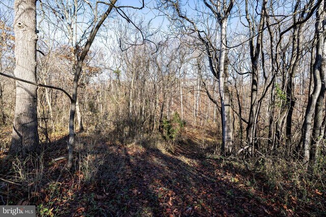 0 Grandos St, Shenandoah, VA 22849