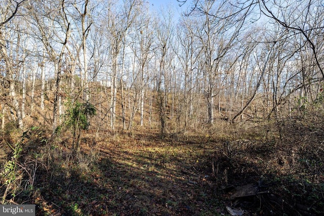 0 Grandos St, Shenandoah, VA 22849
