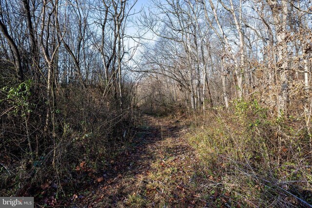 0 Grandos St, Shenandoah, VA 22849